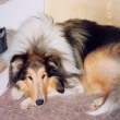 rony_pri_odpocinku_001.jpg